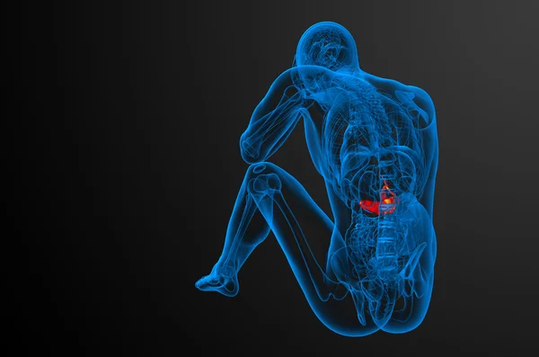 3d renderizar la ilustración médica de la gallblader y pancrease —  Fotos de Stock