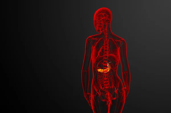 3d rendere illustrazione medica della cistifellea e pancreas — Foto Stock