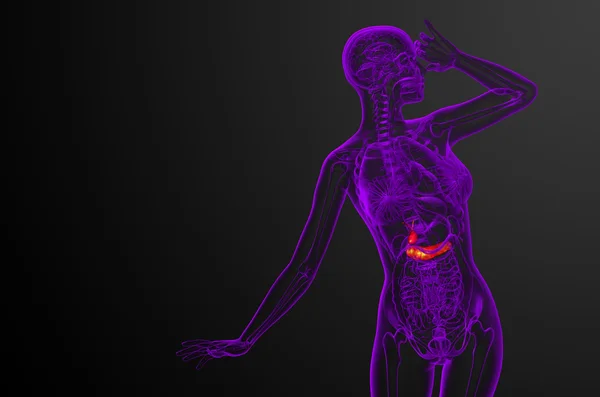 Gallblader ve pancrease 3D render tıbbi çizimi — Stok fotoğraf