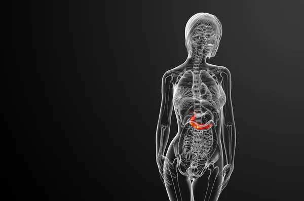 3d rendere illustrazione medica della cistifellea e pancreas — Foto Stock