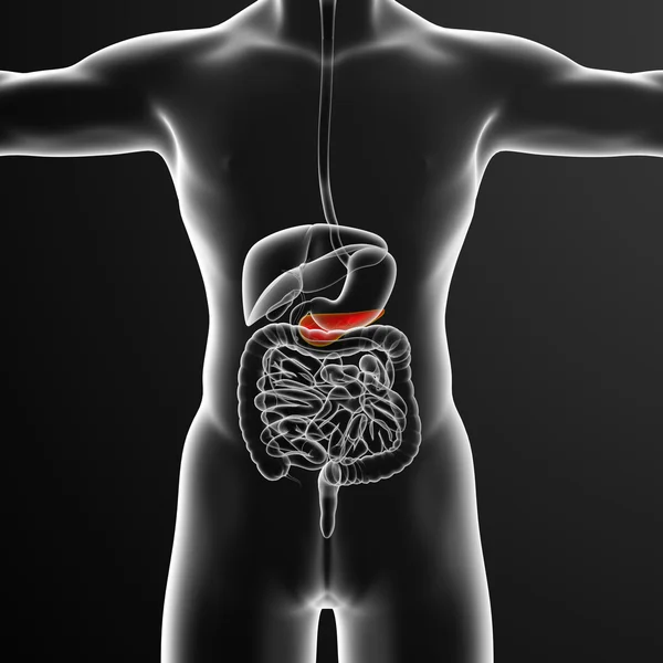 3d renderizar la ilustración médica de la gallblader y pancrease — Foto de Stock