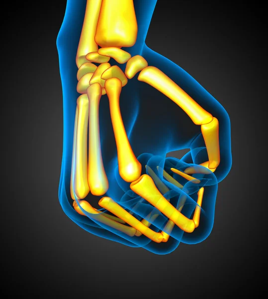 Ilustración médica 3D de la mano del esqueleto humano —  Fotos de Stock