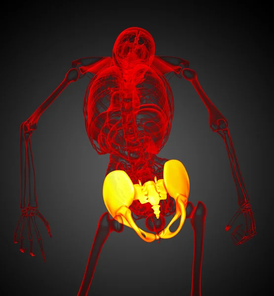 3d rendre illustration médicale de l'os de la hanche — Photo