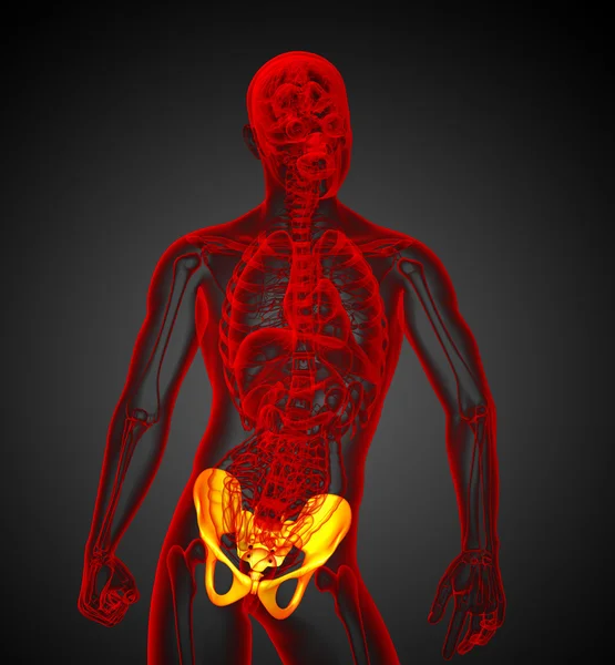 3d rendre illustration médicale de l'os de la hanche — Photo