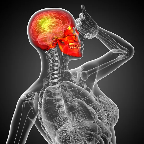 3d rendere illustrazione medica del cranio — Foto Stock