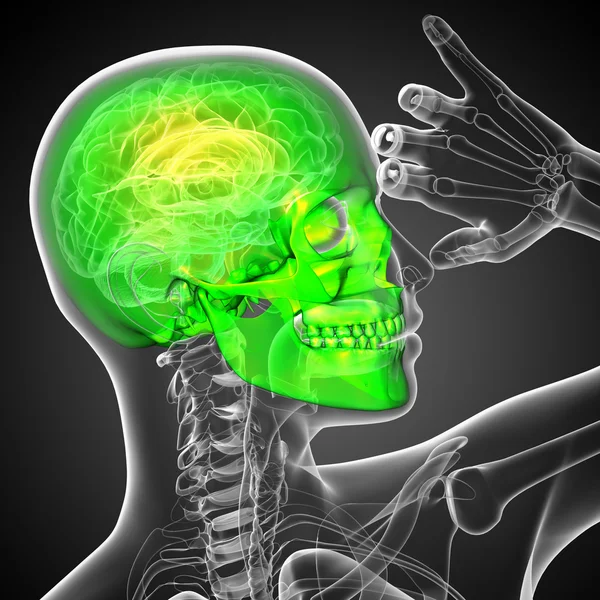 3d tornar ilustração médica do crânio — Fotografia de Stock