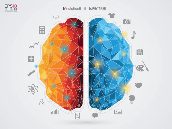 Illustration vectorielle d'un cerveau en arrière-plan — Image vectorielle