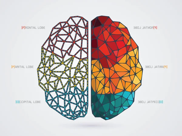 Vector illustration of a brain icon — Stock Vector