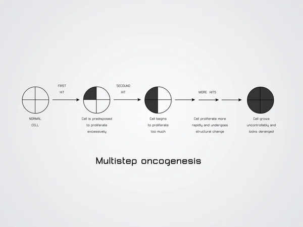 Multistep oncogenesis — Stock Vector