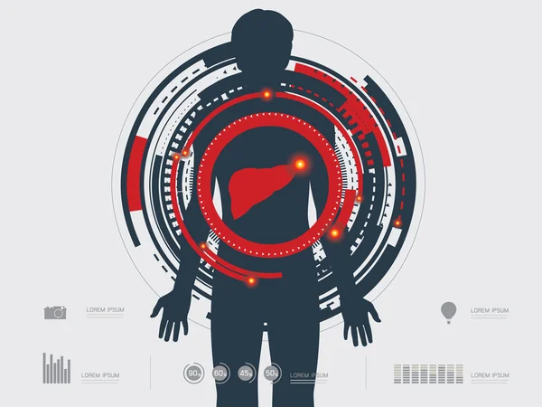 Illustrazione vettoriale del fegato umano — Vettoriale Stock