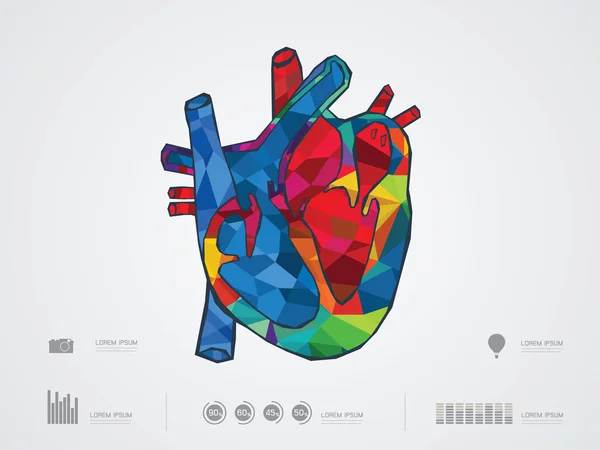 Vector ilustración del corazón — Vector de stock