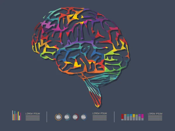 Ilustração vetorial do cérebro colorido — Vetor de Stock