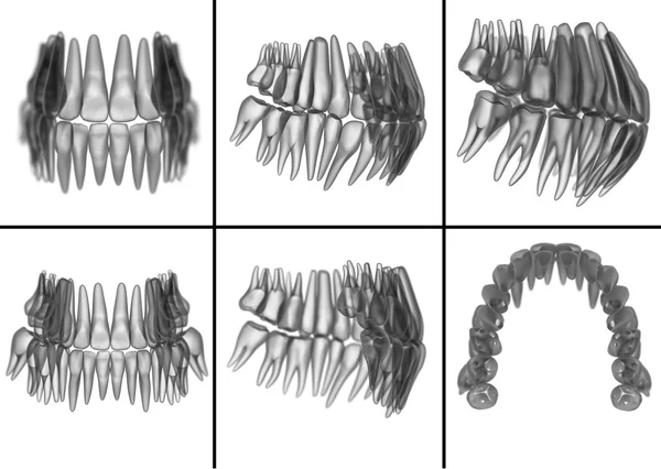 Ilustracja medyczny zęba na tle — Zdjęcie stockowe