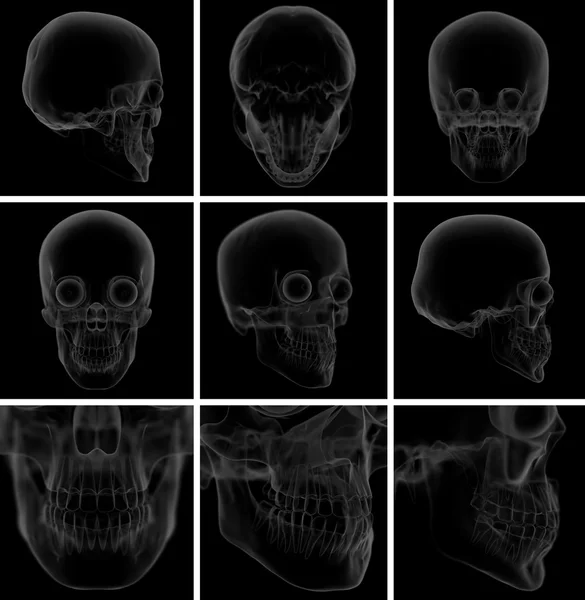 3D render czaszki na tle — Zdjęcie stockowe