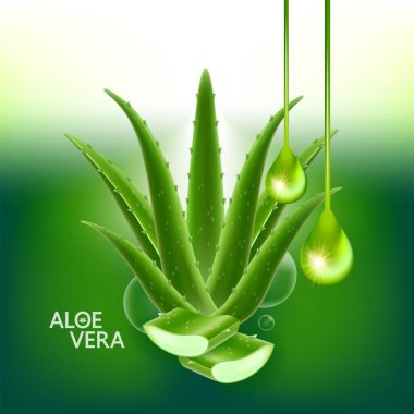 Cilt Bakımı Kozmetik İllüstrasyonu için Aloe Vera Kolajen ve Serum.
