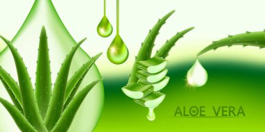 Cilt Bakımı Kozmetik İllüstrasyonu için Aloe Vera Kolajen ve Serum.