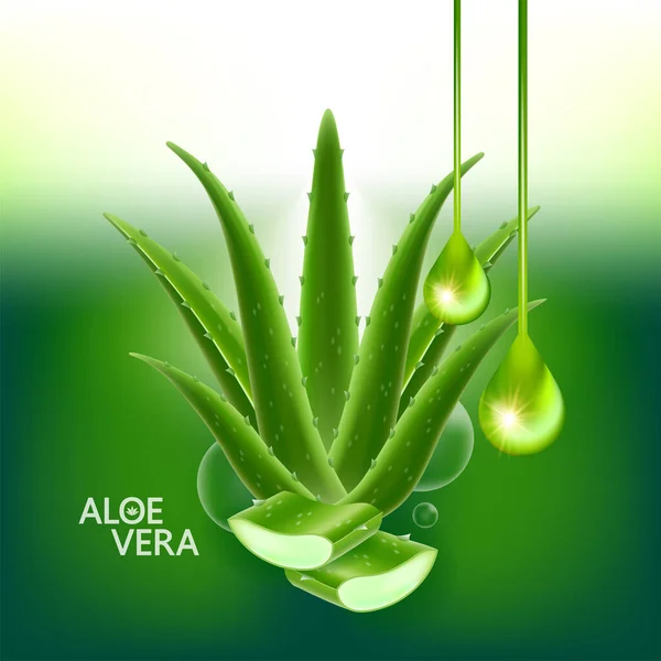 Aloe Vera Colágeno Suero Para Cuidado Piel Ilustración Vectores Cosméticos — Vector de stock