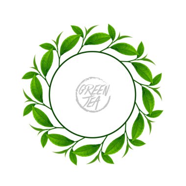 İyi sağlık vektörü illüstrasyonu için kaliteli yeşil çay.