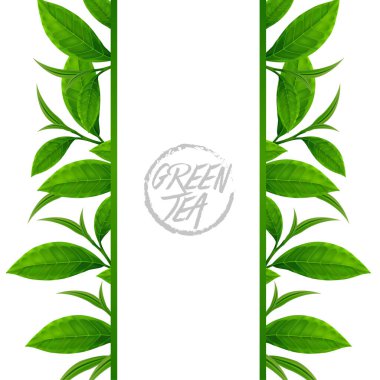 İyi sağlık vektörü illüstrasyonu için kaliteli yeşil çay.
