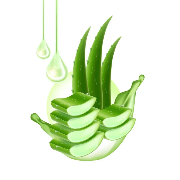 Aloe Vera Kollagen Och Serum För Hudvård Kosmetisk Vektor Illustration — Stock vektor