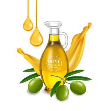Taze zeytinyağı zarif vektör çizimi.