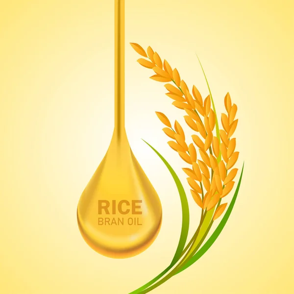 Rice Premium Vetor Conceito Design Grande Qualidade — Vetor de Stock