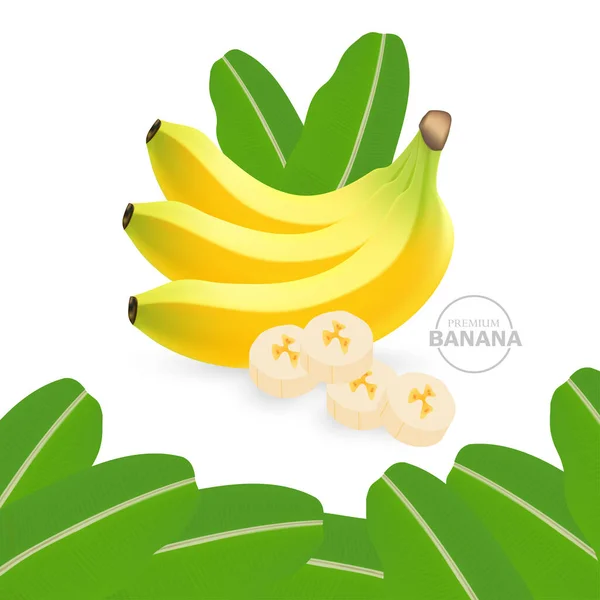 Realistic Fresh Banana Good Health Vector Illustration — Stock Vector