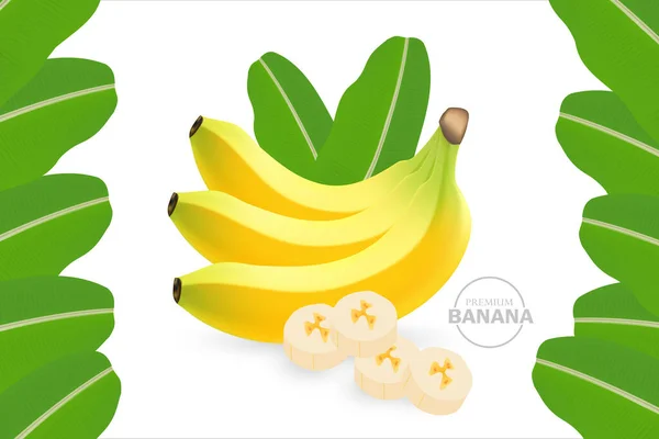 Свежий Банан Здоровья — стоковый вектор
