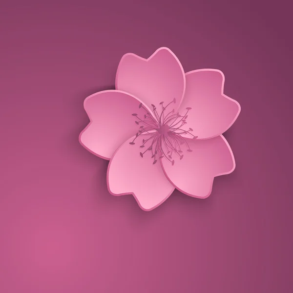 Kersenbloesem. Sakura bloemen vector illustratie. — Stockvector