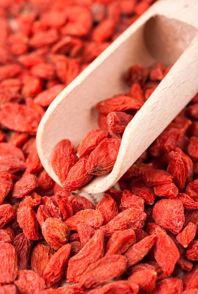 Bacche di Goji Immagine Stock