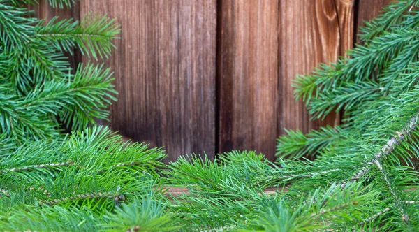Grön julgran på en trä vintage bakgrund. selektivt fokus. Moränträd och gran. kopieringsutrymme. — Stockfoto