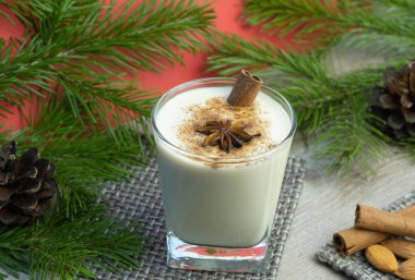 Hindistan cevizi ve tarçınlı eggnog Noel kokteyli. Geleneksel bayram içkisi. Sıcak xmas kokteyli. Süt, krema, yumurta ve baharata dayalı. Alkol de eklenince. Illicium eklendi