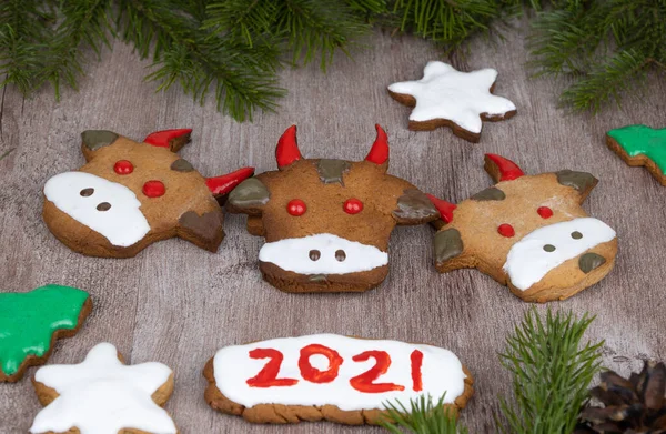 ginger cakes in the shape of a bull face. selective focus. traditional Christmas gingerbread cookies. holiday treats.