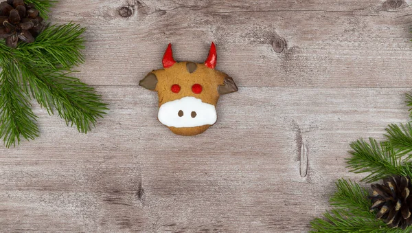 ginger cakes in the shape of a bull face on a wooden surface. background is decorated with fir branches.