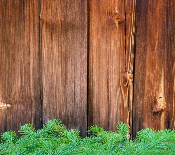 Grön Julgran Trä Vintage Bakgrund Naturlig Morän Träd Och Gran — Stockfoto