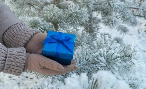 Blue Gift Box Hands Background Snow Branches Christmas Tree Covered — Stock Photo, Image