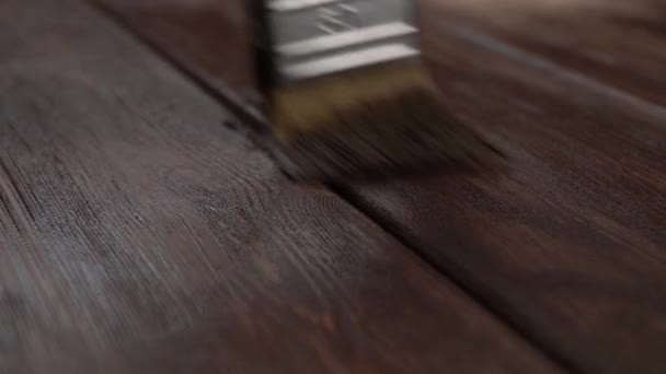 木头上覆盖着家具油 我们用刷子刷木板 — 图库视频影像