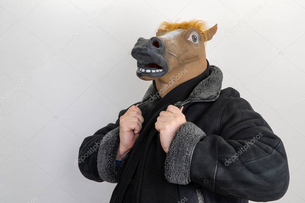 man in a horse mask. selective focus. horse is wearing a coat. male stud