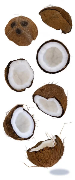 Gespleten Kokosnoot Een Witte Achtergrond Coco Rijp Palmfruit Veel Verschillende Rechtenvrije Stockfoto's