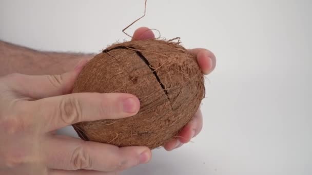 Geknackte Kokosnuss Den Händen Eines Mannes Coco Reife Palmfrüchte Nuss — Stockvideo