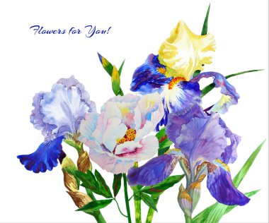 Mavi süsen. Suluboya çiçek