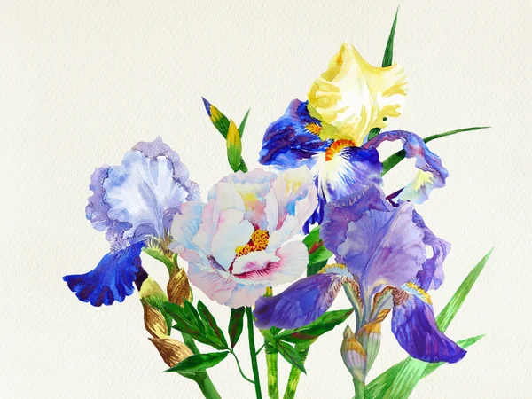 青いアイリス。水彩花 — ストック写真