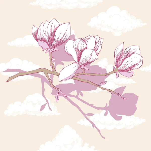 Magnolia. Spring flowers — Stock Vector