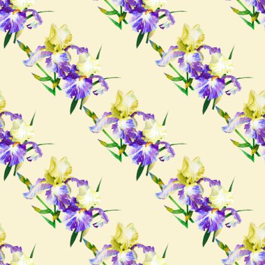 Renkli iris ile Seamless Modeli