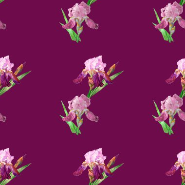 Renkli iris ile Seamless Modeli