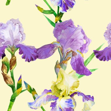 Renkli iris ile Seamless Modeli