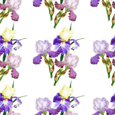 Renkli iris ile Seamless Modeli
