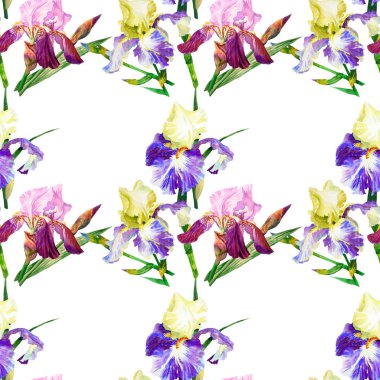 Renkli iris ile Seamless Modeli