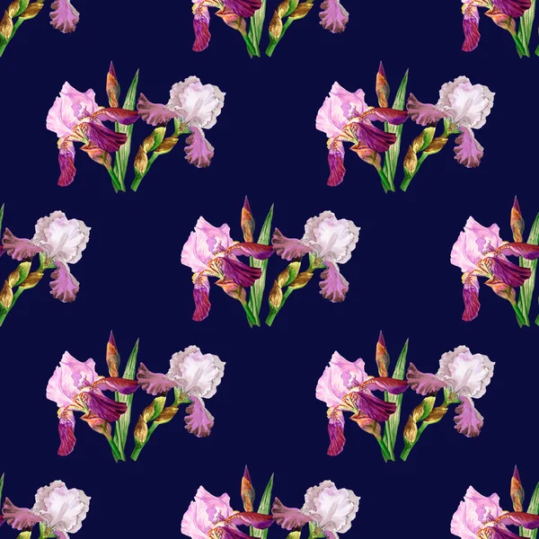 Pola mulus dengan iris berwarna — Stok Foto