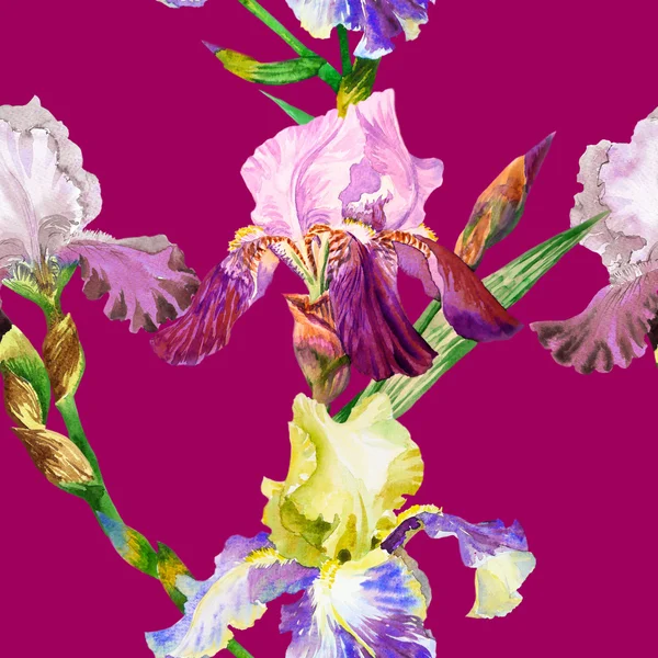 Nahtloses Muster mit farbigen Schwertlilien — Stockfoto